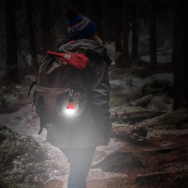 Portable Camping Light