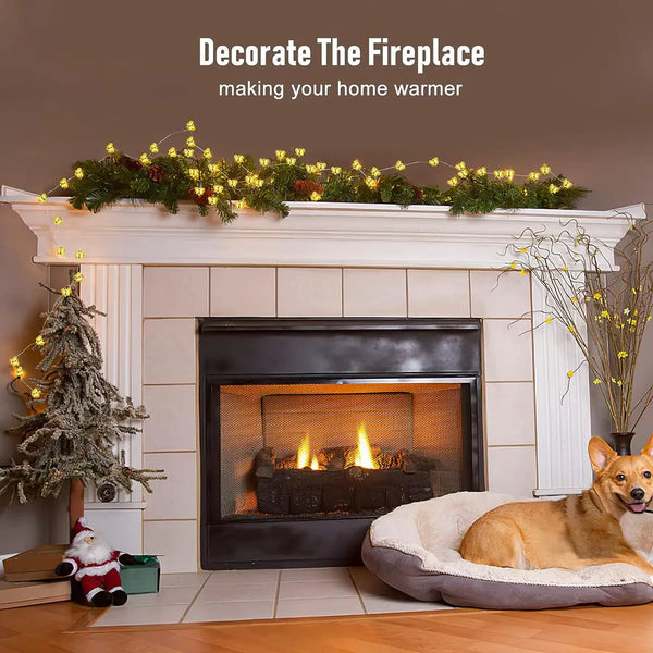 Battery Operated Decorative Lights for Bedroom, Party, Wedding, & Garden